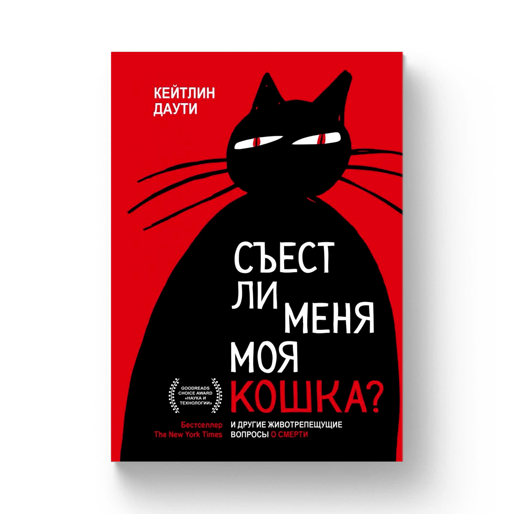 Люблю тебя котенок. Моя кошка меня не любит. Люблю тебя моя любимая кисонька. Моя кошка меня не любит. Я тебя люблю кошечка моя.