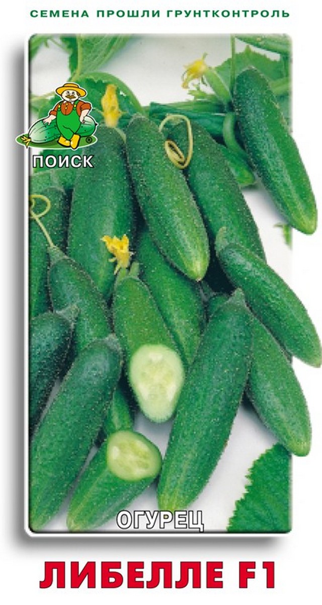 Огурцы 30 Кг Купить