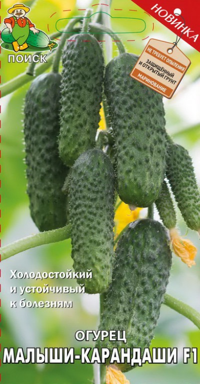 Малыши Карандаши Новогодние
