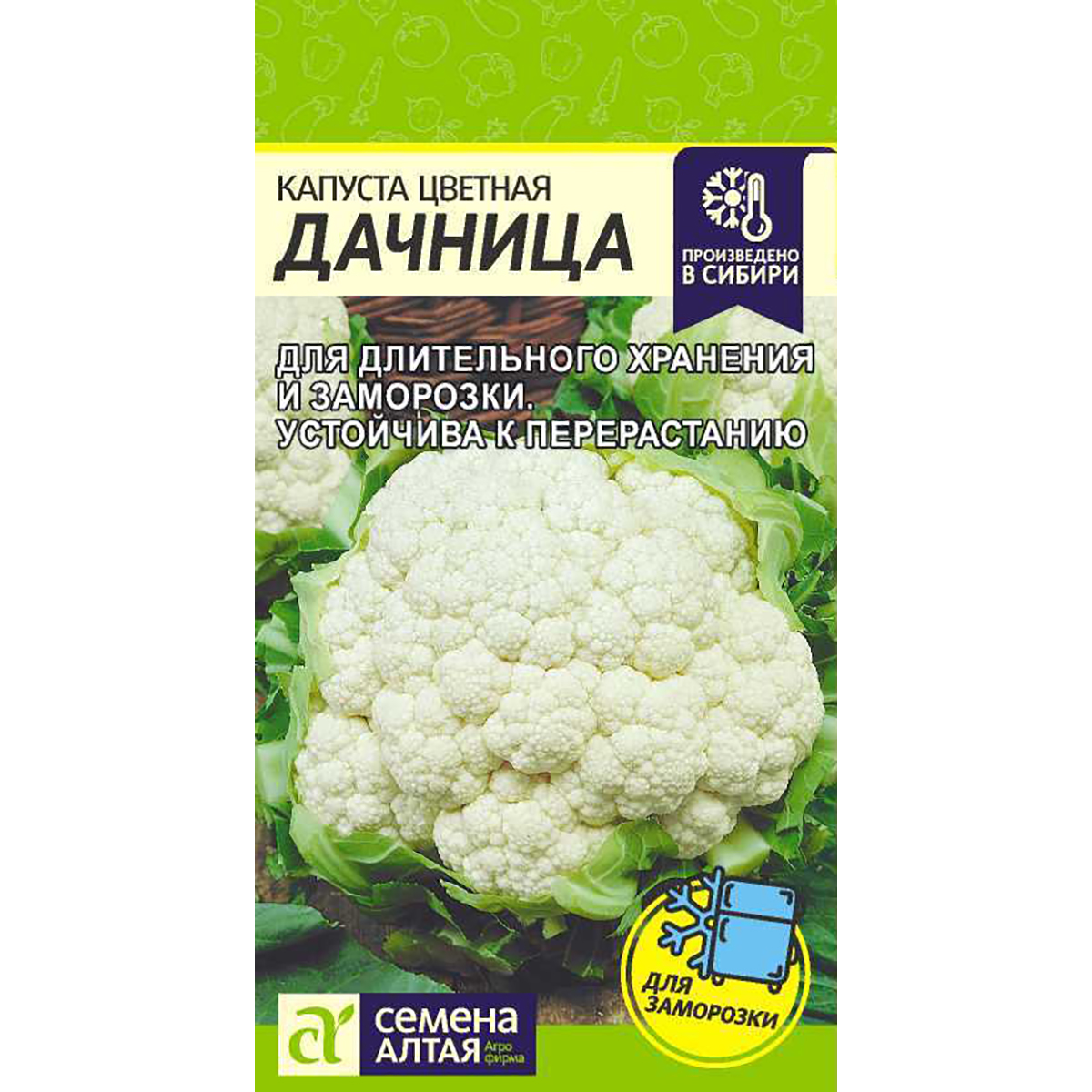 Капуста дачница описание сорта. Капуста цветная дачница описание. Цветн капуста дачница. Капуста цветная дачница описание. Белокочанная и цветная капуста.