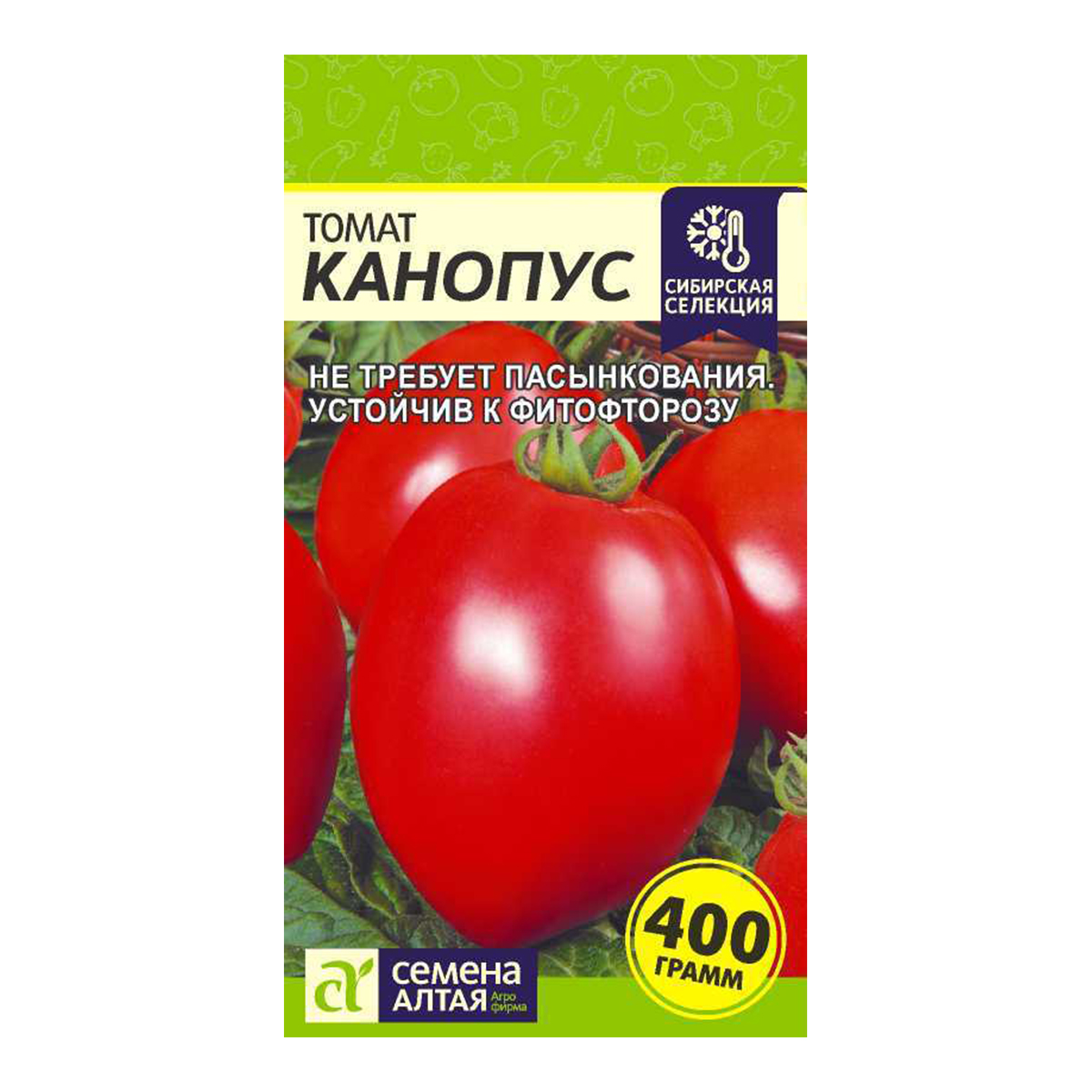 Помидоры Настенька Отзывы Фото
