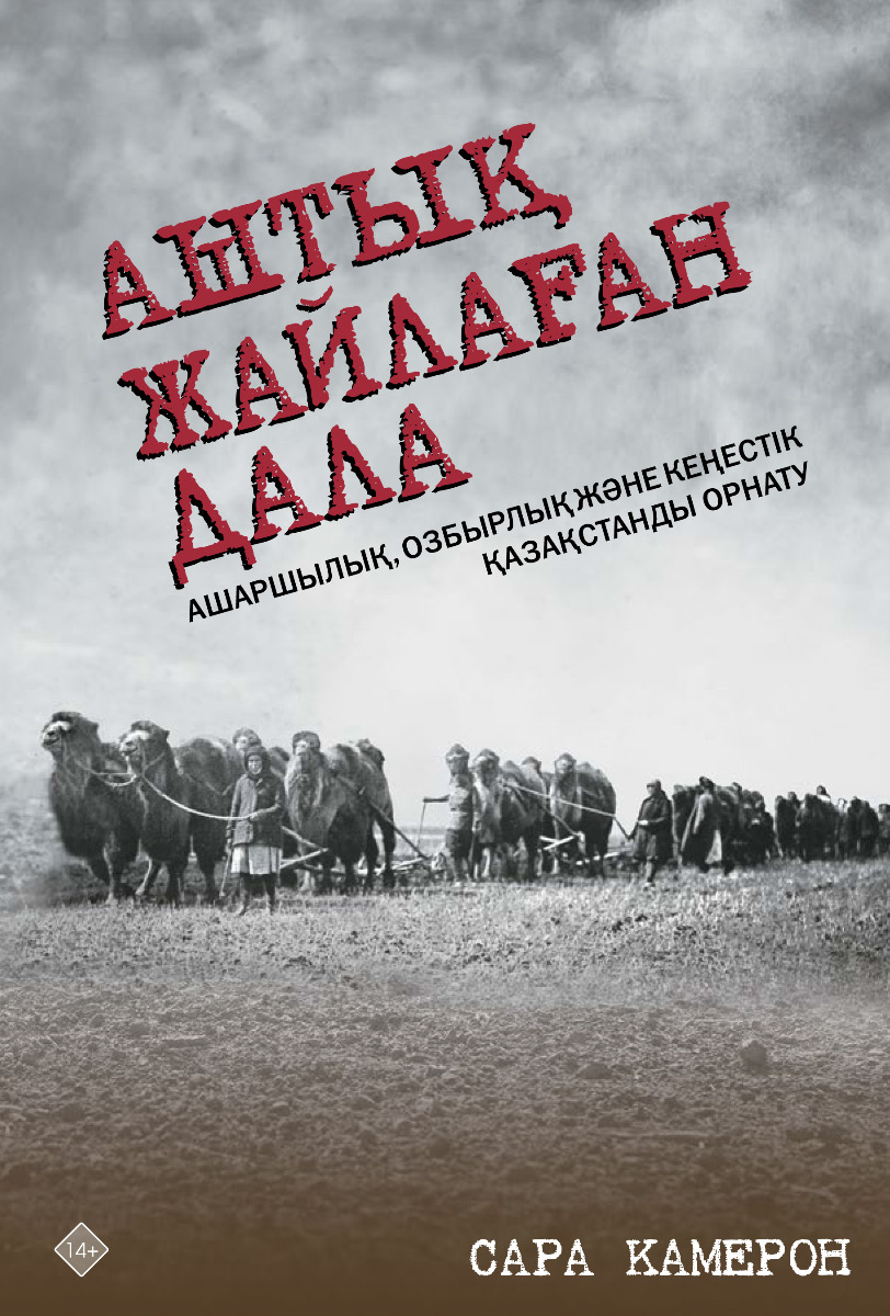 Емізік суреті