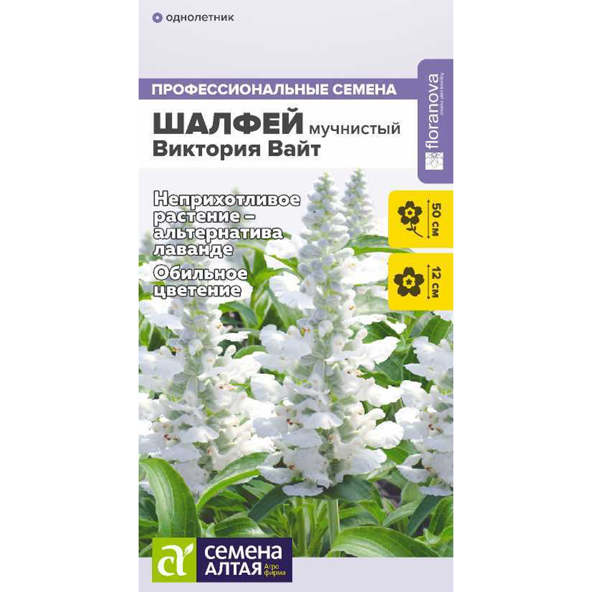 Шалфей Семенами Цена