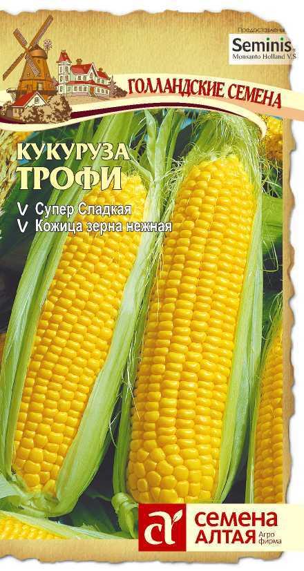 Суперсладкий Лук Семена Купить В Спб
