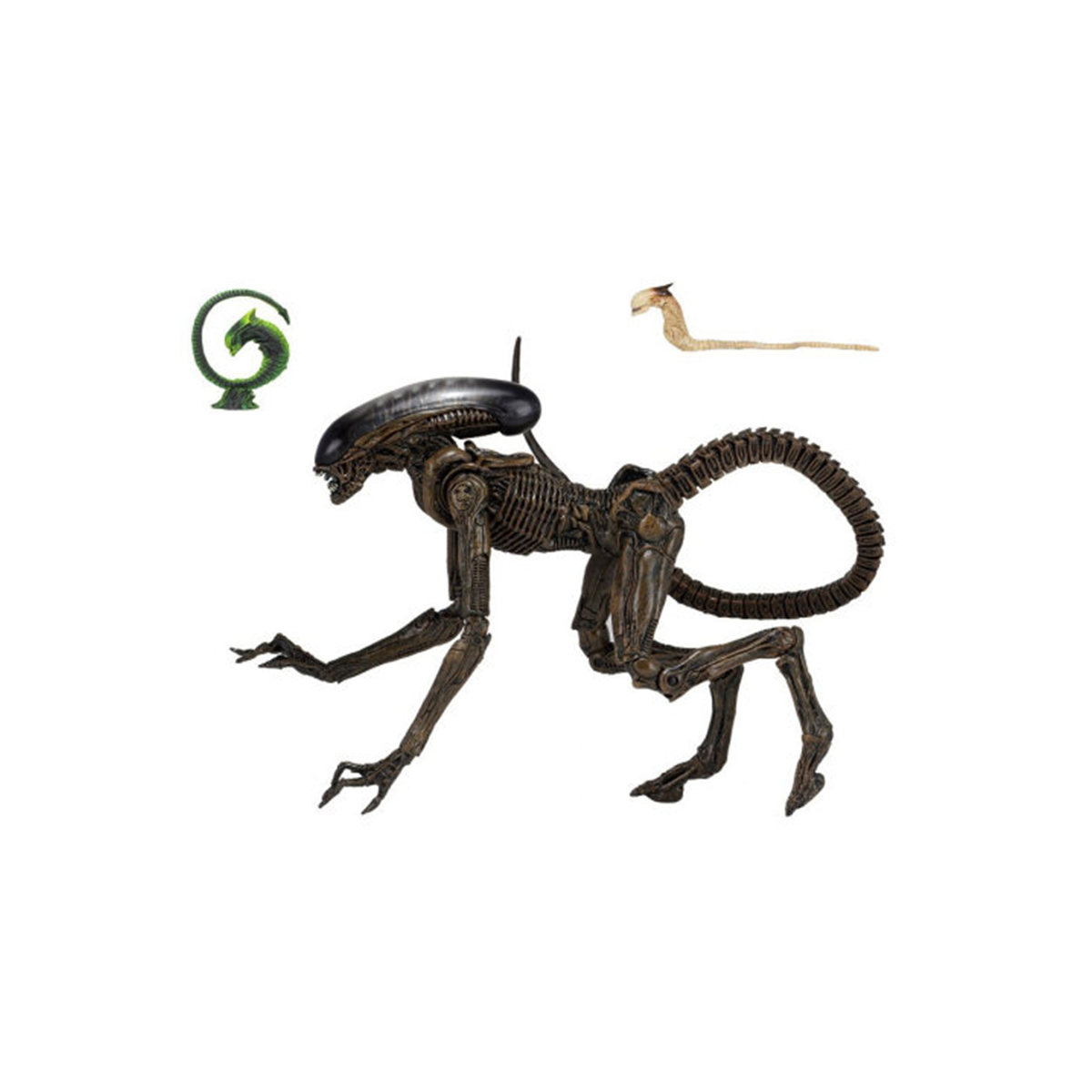 Neca dog alien sale
