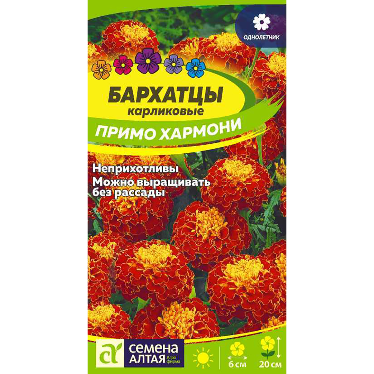 Купить Семена Бархатцев Низкорослых
