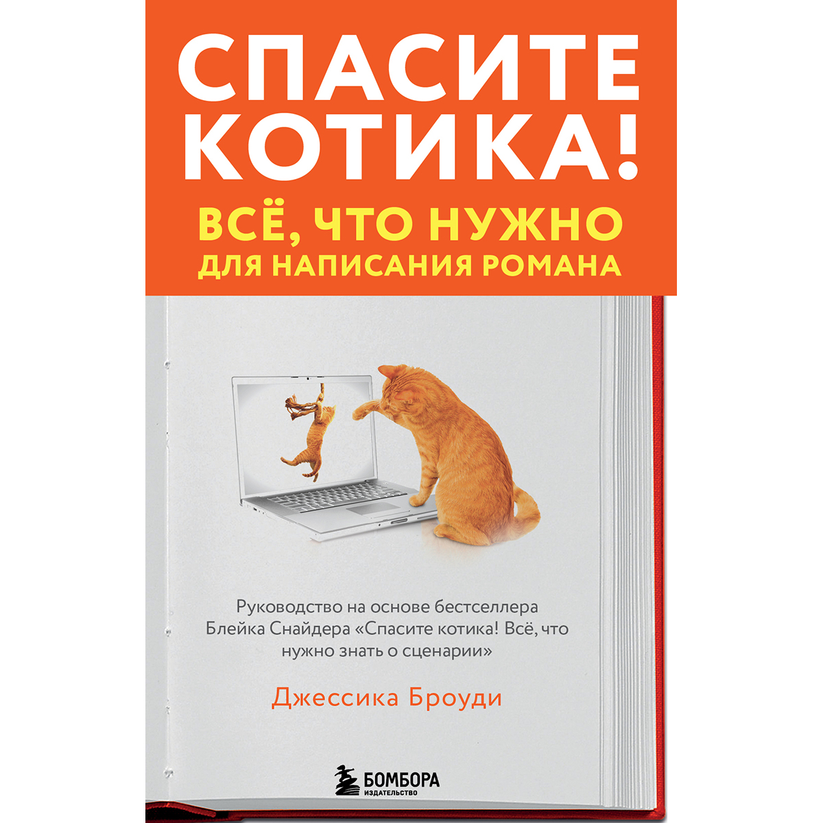 Броуди Джессика: Спасите котика! Всё, что нужно для написания романа