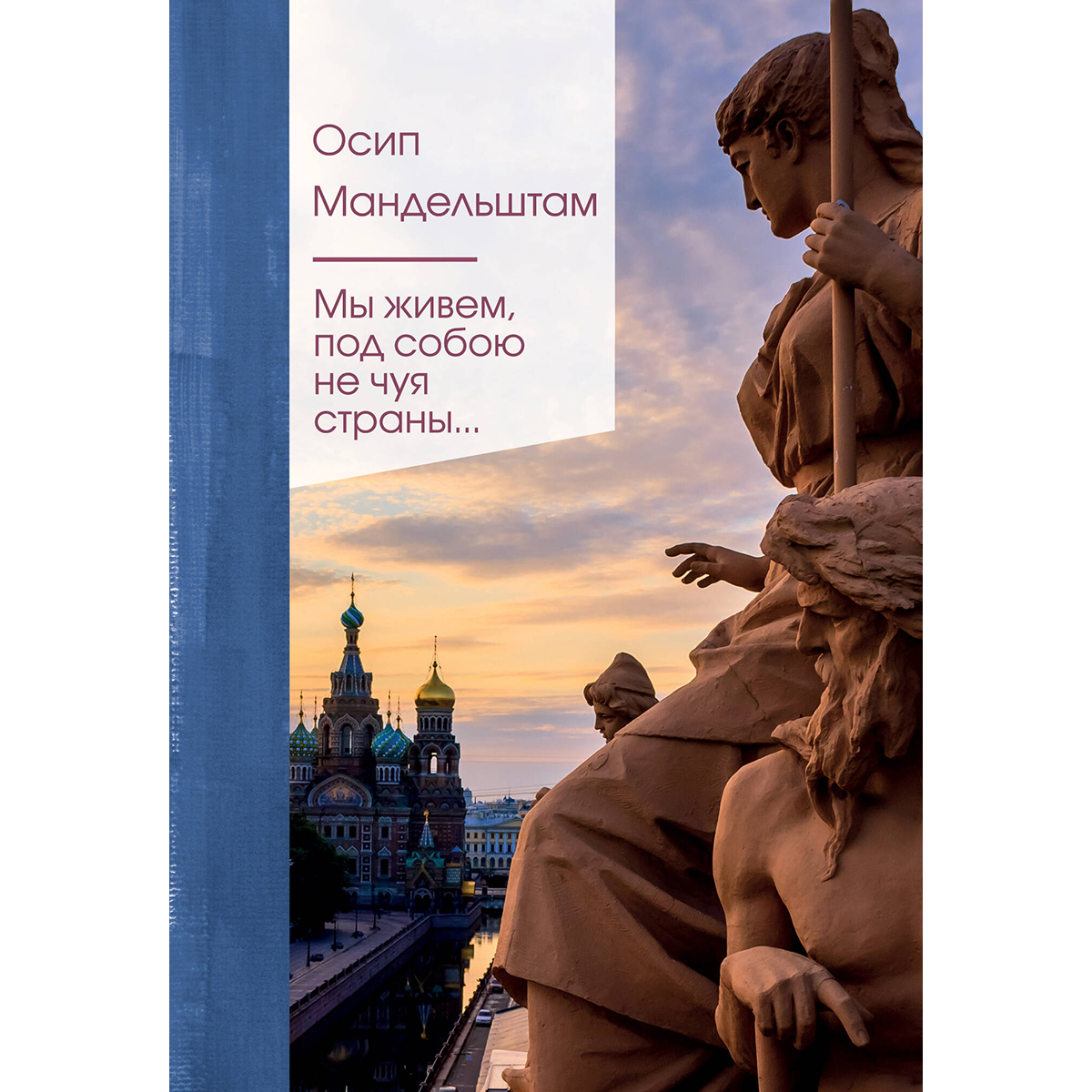 Егде жастағы мысықтардың суреттері