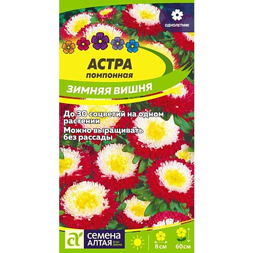 цопе попки $  2 )))))))) 