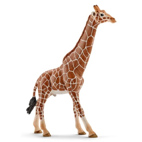 Schleich: Жираф, самец