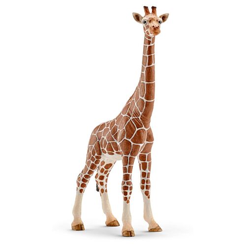 Schleich: Жираф, самка