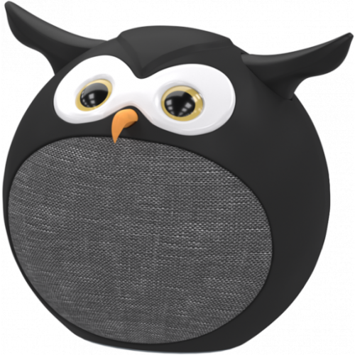 Портативная акустика RITMIX ST-110BT Owl черный