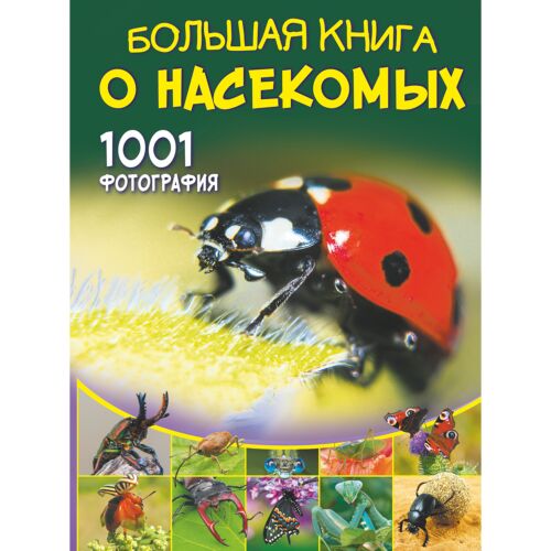 Спектор А. А.: Большая книга о насекомых. 1001 фотография