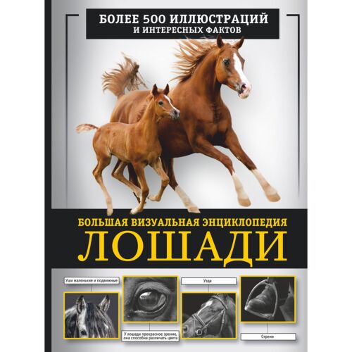 Спектор А. А.: Лошади. Большая визуальная энциклопедия