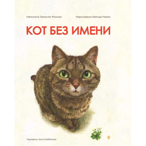 fumiko_t_kot_bez_imeni