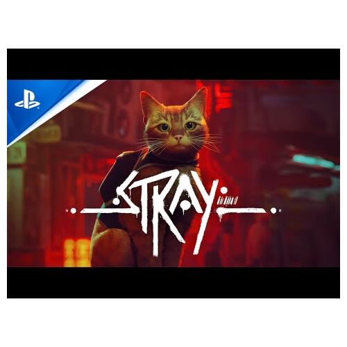 Игра Stray PS4 - отзывы покупателей на маркетплейсе Мегамаркет