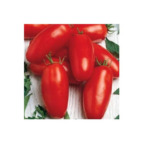 Семена томат Перцевидный (НК) 0.1г