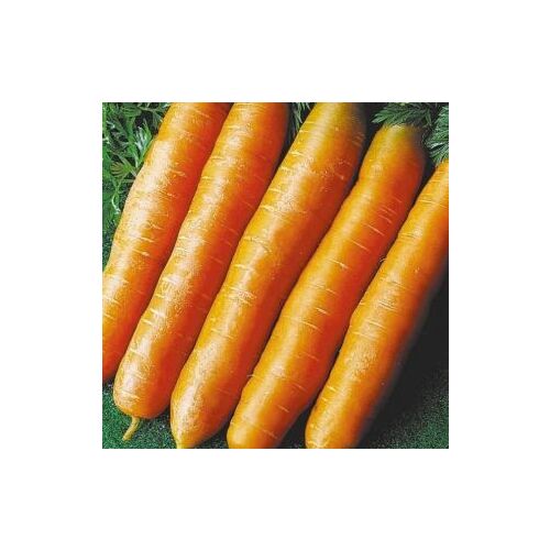 Семена морковь Без сердцевины (НК) 2г