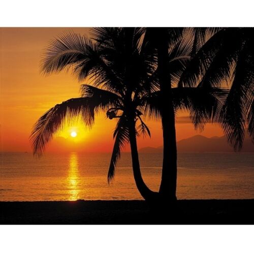 Фотообои KOMAR 368*254см 8-255 Palmy Beach Sunrise