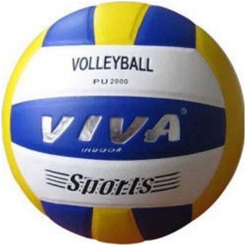 Мяч волейбольный  Larsen PU2000