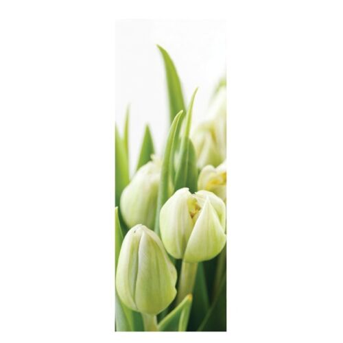 Фотообои DECOCODE Белые тюльпаны 11-0160-FG (1,00*2,8) (1)