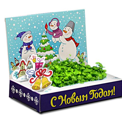 Happy Plant: Подарочный набор Снеговик "Счастья в Новом году"