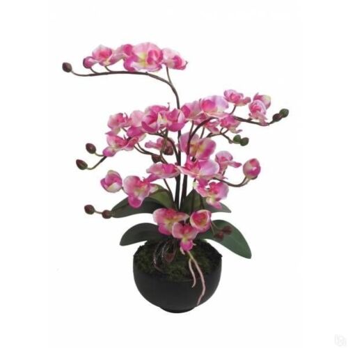 Композиция цветочная, Natural Tuoch "Орхидея", L24 W16 H56 см
