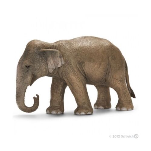 Schleich: Слон Азиатский, самка