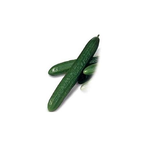 Семена Огурец Зеленый крокодил 1,0 г (б/п) автор.
