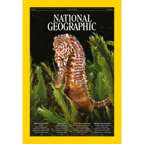 zhurnal_national_geographic_qa