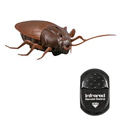 Сексуалды стриптиз rshi