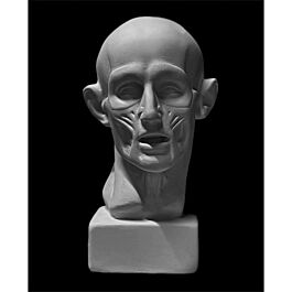 Моншада абайсызда біреуді сорып алдым.