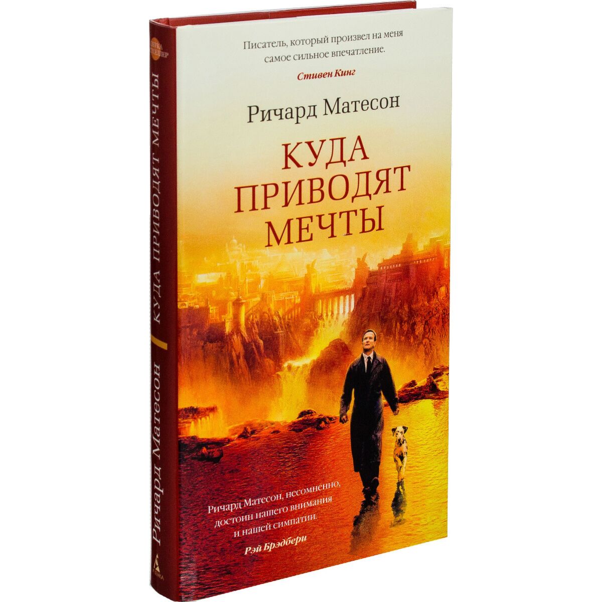 Где читают отзывы. Куда приводят мечты. Куда приводят мечты книга. Куда приводят мечты книга читать.