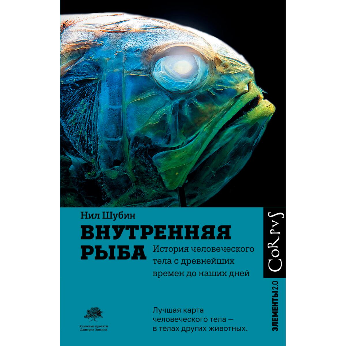 Рыба книги купить. Шубин_внутренняя рыба 2010. Шубин н. "внутренняя рыба".