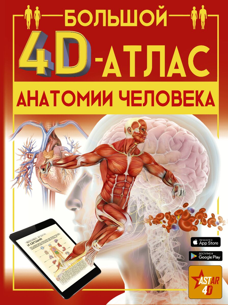 Спектор А. А.: Большой 4D-атлас анатомии человека: купить книгу в Алматы |  Интернет-магазин Meloman