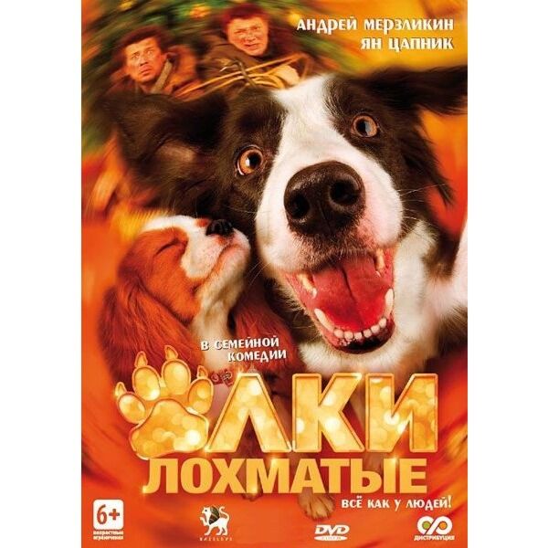 ЕЛКИ ЛОХМАТЫЕ : Купить В Алматы, Казахстане | Интернет-Магазин Marwin