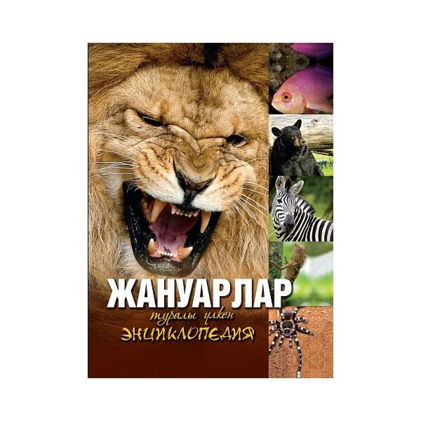 Секс машиналарының онлайн порно видеолары Қыздар бiр-бiрiн сиқырмен силайды