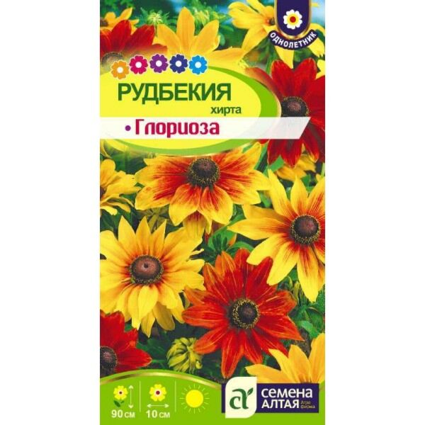 Рудбекия Хирта Глориоза Дэйзи