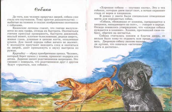 Анамның кискасын шәуетпен толтырды