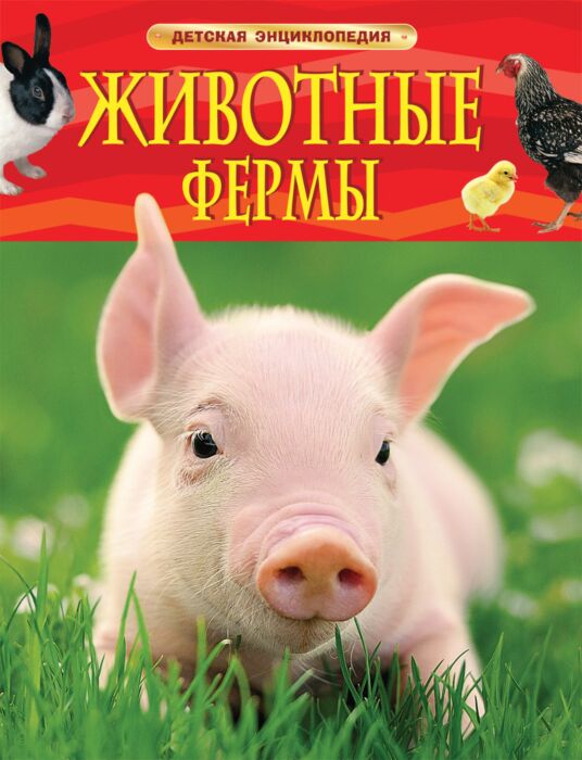 Книга «Животные фермы» для детей 3–7 лет купить онлайн | Вако