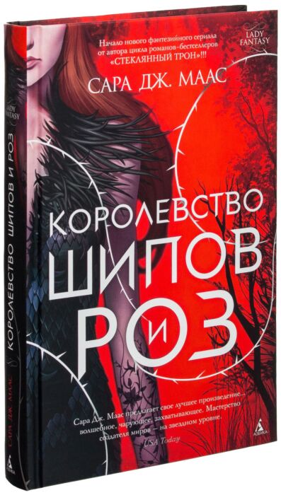 шипы и розы книга. аудиокнига шипы и розы. цикл книг королевство шипов и рощ. аудиокнига шипы и розы. королевство шипов и роз цикл.