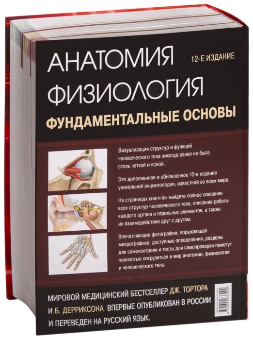 Фундаментальная основа. Анатомия и физиология фундаментальные основы тортора и Дерриксона. Анатомия физиология фундаментальные основы купить. Книга тортор 