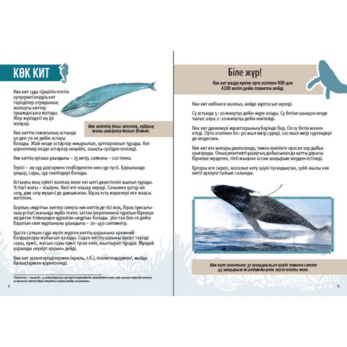 Жетілген және жеткізуші адам