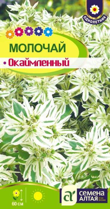 Семена Цветы Молочай Окаймленный/Сем Алт/цп 0,5 гр. : купить по низкой ...