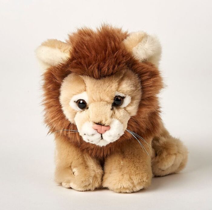 Ең үлкен анальді дилдостар