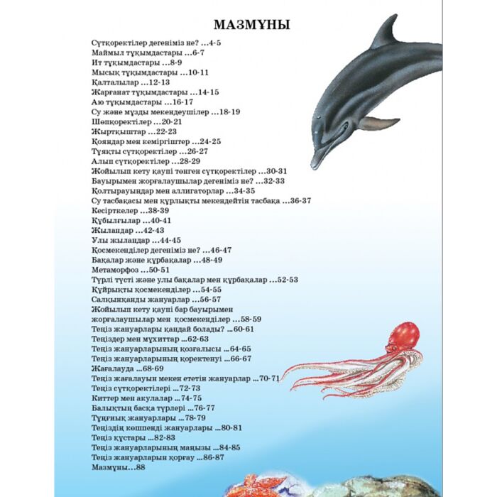 Мас әйелдер жыныстық қатынасқа түскен видео