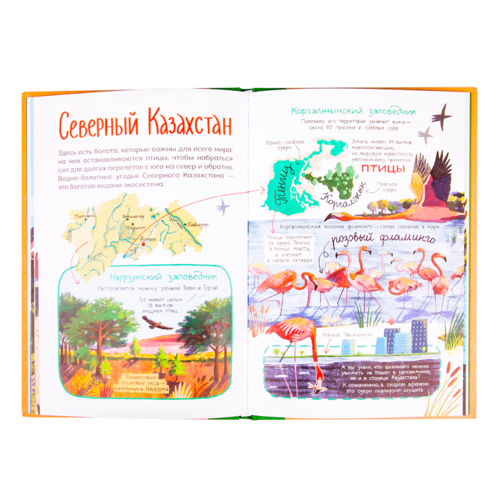 Әуесқойлық бірінші адамның онлайн порносы