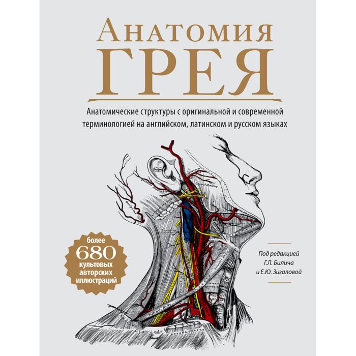 Билич Г. Л., Зигалова Е. Ю.: Анатомия Грея. Современное издание с ...