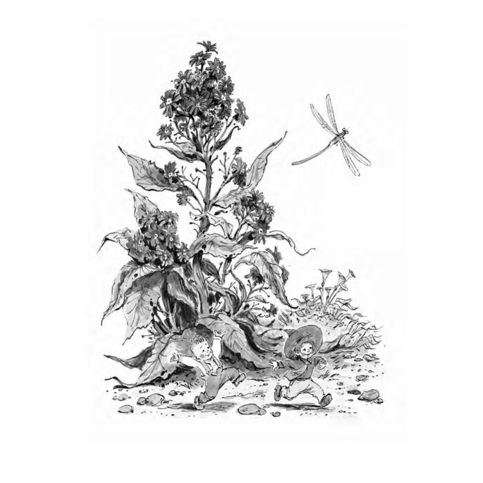 Еврей еркектерінің жыныстық қатынасы