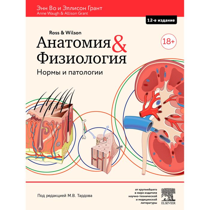 Во Э.: Анатомия и физиология. Нормы и патологии: купить книгу по выгодной  цене в интернет-магазине Marwin | Алматы